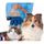 Gant de brossage pour chat