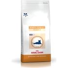 ROYAL CANIN Croquettes pour chat sénior Vcn Stage 2 - Sac de 6 kg
