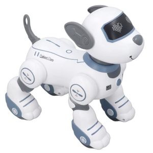 ROBOT - ANIMAL ANIMÉ Drfeify Chien robot télécommandé Robot chien téléc