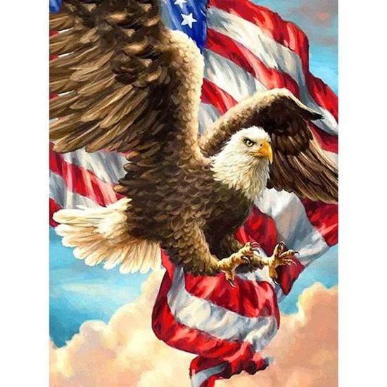 Broderie Diamant Kit Complet Grand Format 30X40 Aigle Drapeau Américain