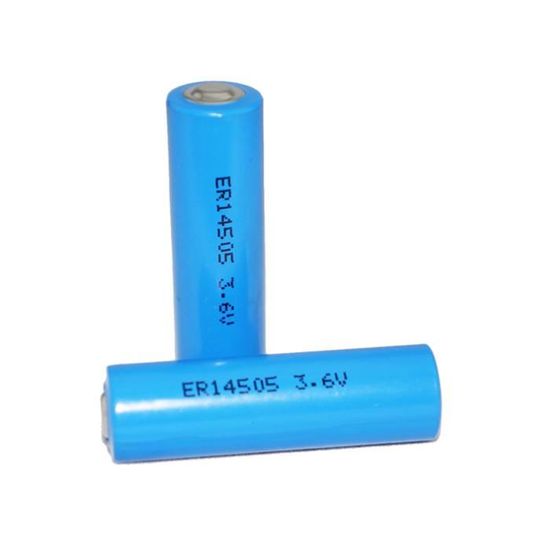 Pkcell – Batterie Lithium 3.6v, 19000mah, Format D, Pour Compteur
