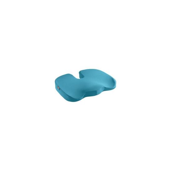 Coussin d'assise ergonomique Bleu Leitz Ergo Cdiscount Santé — free download