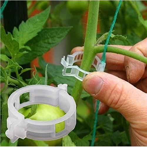 100pcs Pince de Greffe Clip Fruit Légume Plantes à Fleurs de Jardin Semis Tomate Outils de Vigne Jardinage Greffer Plante
