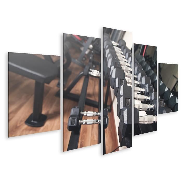 Tableau sur toile Haltères en métal pour la musculation en salle de sport. Taille: 170x80cm - 5 Pièces