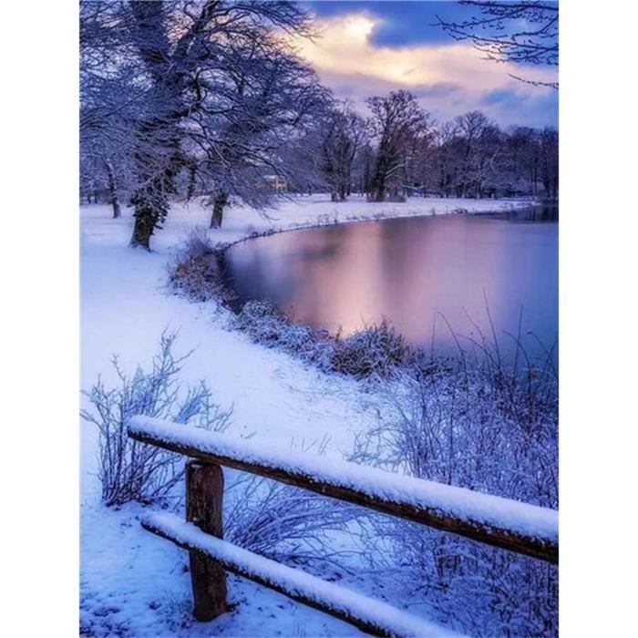 NEWENMO Scène Alpine Enneigée Diamond Painting Kit,DIY Paysage De