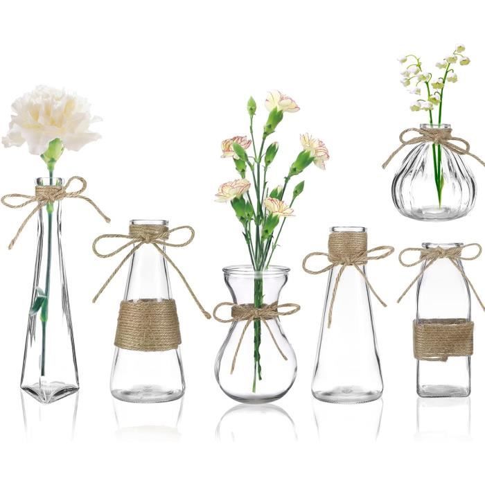 Chakil Vase Transparent Verre,Vase Pour Plante Fleurs Décorations De Bureau à Domicile Size 10