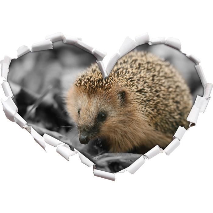 Herisson Doux En Feuilles Noir Forme Blanc De Coeur Dans Le Regard 3d Mur Ou Un Autocollant De Porte Format 62x43 5cm Stickers Cdiscount Maison