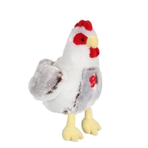 peluche poule