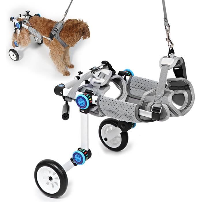 Animal Chariot Fauteuil Roulant XXS à 2 Roulettes Corde De Traction Chien Chat Handicapé Postérieurs Auxiliaires Outil Marche Aide