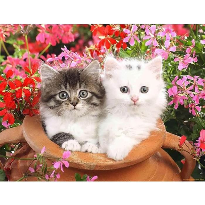 Kit Diamond Painting Chat – 10 X 15 Cm – Diamants Ronds 5D – Activité Manuelle Adulte, Décoration