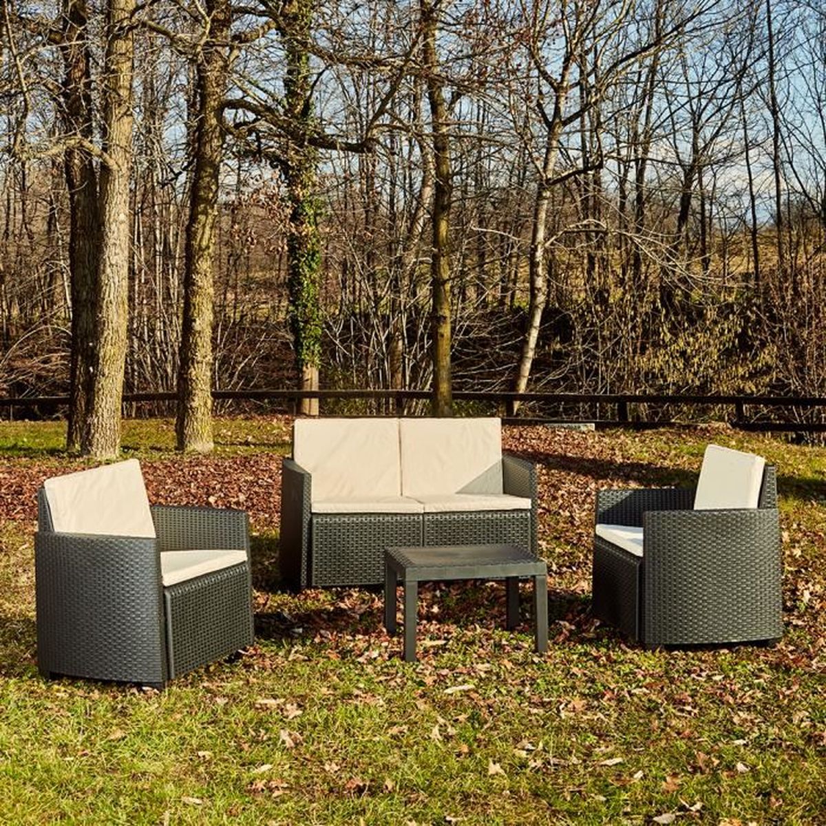 Arena Set Décor de Jardin Pp /Rotin Arena Anthracite 4 Pièces 