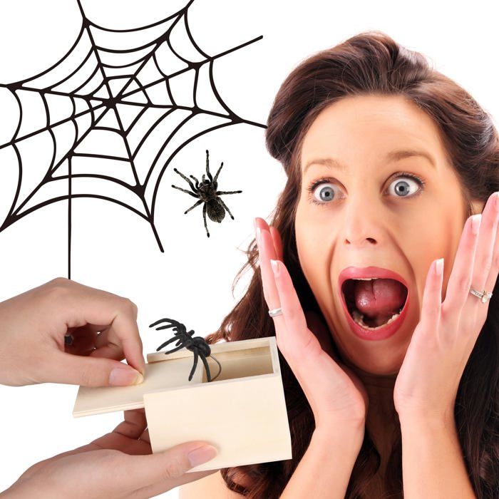 Boîte à Surprise Araignée – 2PCS Farce Et Attrape Effrayante Pour Halloween Et 1er Avril