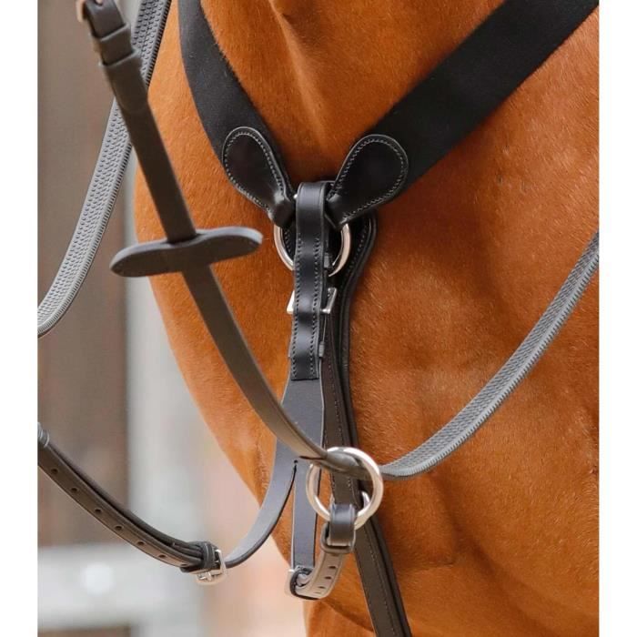 Martingale De Course En Cuir Marron - Taille Cob, Occasion