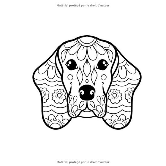 1634 Mandalas Animaux 50 Coloriages Animaux Pour Les Enfants De 6 Ans Et Plus 103 Pages Format Cdiscount Jeux Jouets