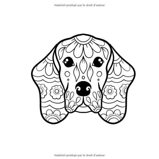 1634 Mandalas animaux - 50 coloriages animaux pour les enfants de 6 ans et  plus - 103 pages Format A4 - Cdiscount Jeux - Jouets