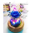 Rose éternelle lumière LED avec enceinte bluetooth - TECH DISCOUNT - Décoration - Rechargeable USB-3