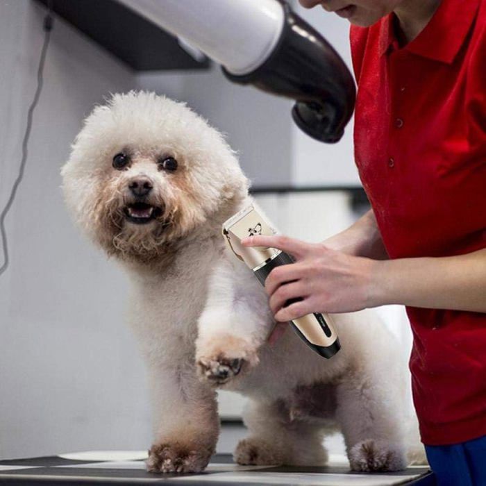 FENRIR Tondeuse professionnelle pour chien 12 V pour le toilettage, les moutons électriques et les animaux de compagnie pour pelage épais et très résistant