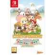 Story of Seasons: Friends of Mineral Town Jeu Nintendo Switch-0