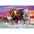 Puzzle Animaux - SCHMIDT - Trio de chevaux sauvages - 200 pièces - Violet - Enfant-0