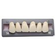 Dents Artificielles - Incivise Haut pour prothèse dentaire-0