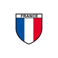 Autocollant Drapeau France sticker francais opex militaire - Taille : 8 cm