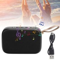 Haut-parleur Bluetooth - HURRISE - Mini Subwoofer Portable - Radio FM - Connectivité Sans Fil - 3W