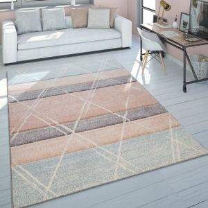 Tapis Elegant 03 Marron Tapis Moderne 60 X 110 Cm Achat