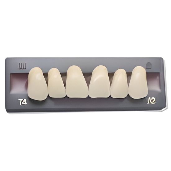 Dents Artificielles - Incivise Haut pour prothèse dentaire