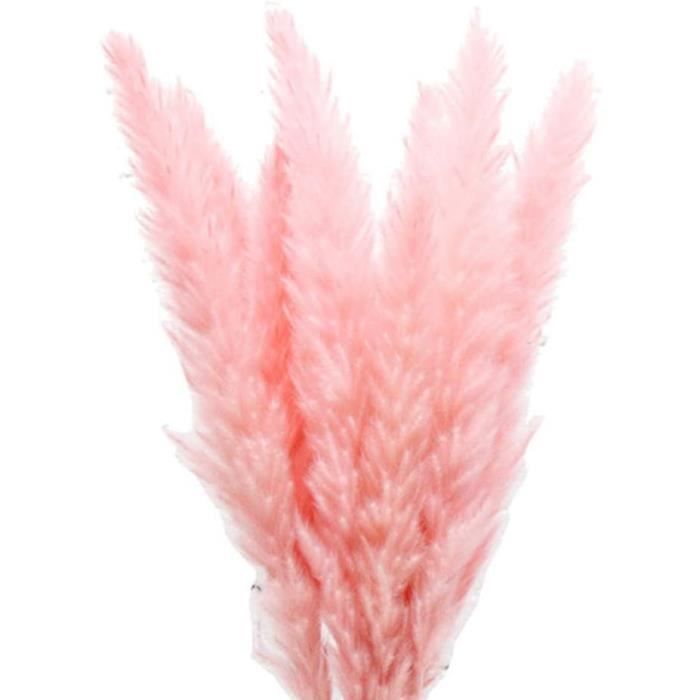 KrodiKrodi Plante artificielle naturelle s eacutech eacutee Pampas Phagmites roses pour la maison, le mariage, la photographie, le