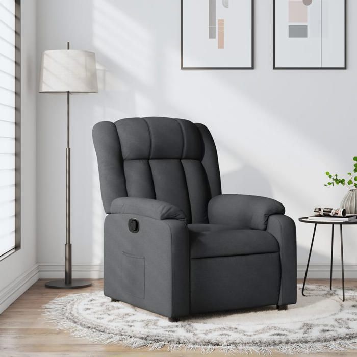 Fauteuil De Salon VidaXL Fauteuil Inclinable Avec Repose-pieds, Chaise De Relaxation Avec