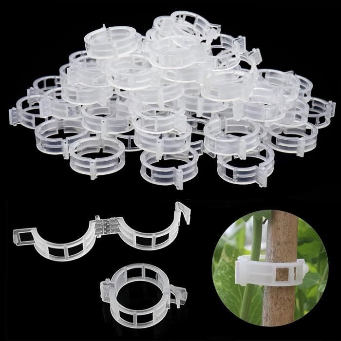 Bambou 2m Suinga Lot De 500 Tuteurs En Bambou 90 Cm (6-8 Mm) - Bâtons Tuteur Bambou 180 Cm