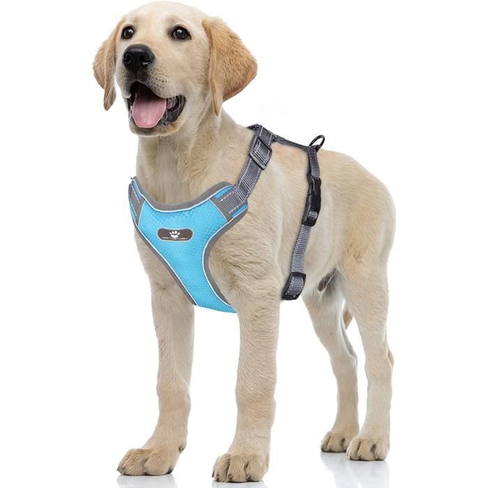 Harnais veste pour chien shop