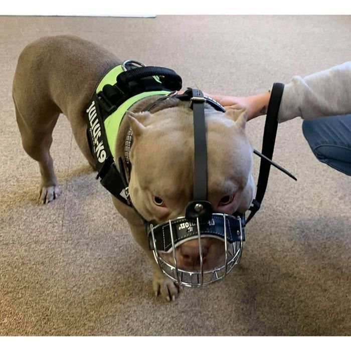 bully muzzle
