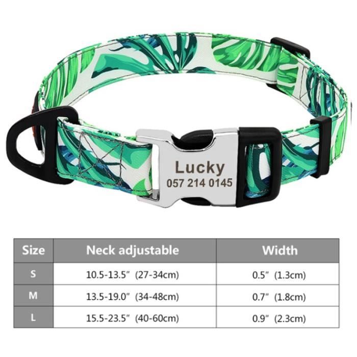 Collier indien personnalisé pour chien accessoire pour animaux de — free download