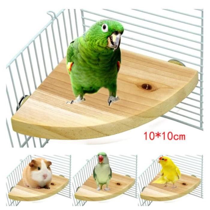 Meilleurs prix pour Animal de compagnie oiseau perroquet support perche r perroquet perruches calopsittes Cage perruche accessoires A3