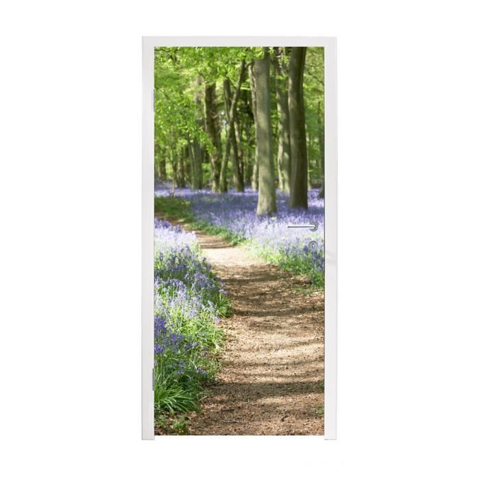 Sticker Mural Porte Trompe L'Oeil - Sticker Porte Vieux Bois Trompe L