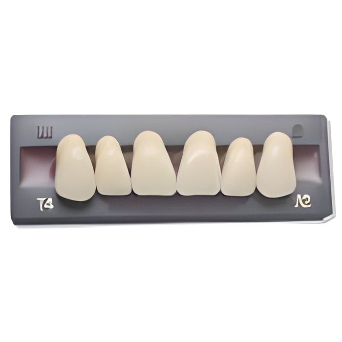 Dents Artificielles - Incivise Haut pour prothèse dentaire - Cdiscount Au  quotidien