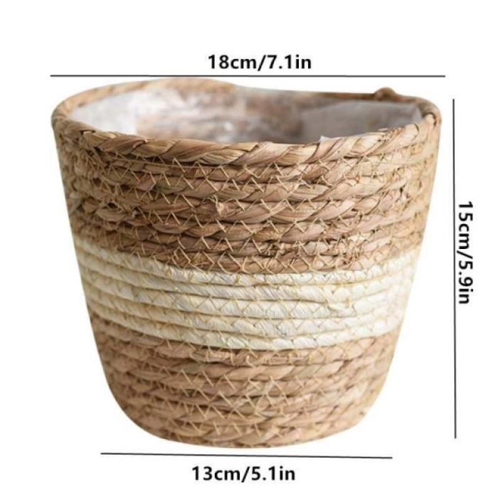 OFFSCH 3 Pièces Piques Décoratifs Pour Plantes D'Intérieur - Ornements De Jardin Pour Pots De Fleurs Et Balcons