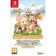 Story of Seasons: Friends of Mineral Town Jeu Nintendo Switch-1