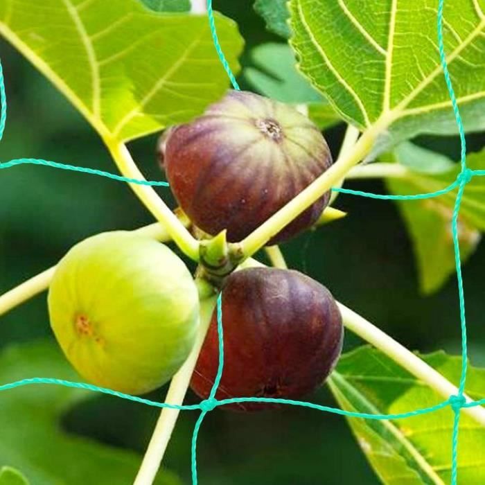 2 Pièces Filet A Ramer Filets Pour Jardin Tuteur Pour Plantes — free download