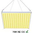 Lampe Plante LED, Lampe de Croissance Horticole, 75W, 169 LEDs, Spectre Complet, pour Plantes Intérieur, Semis, Croissance LBQ43-0