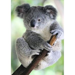 KIT MOSAÏQUE Kits De Peinture Diamant 5D Par Numéro Koala Full Drill Animal Diamante Art Mural Peinture Aux Numeros Broderie Accessoire P[u1745]