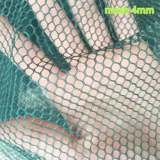 Filet Mesh Shell Filet d'isolation en maille hexagonale de 2m de largeur,filet en maille ...