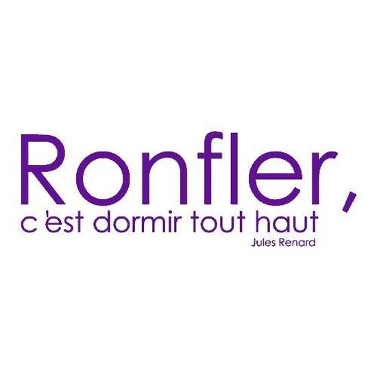 Stickers Citation Jules Renard Ref T Mk1066 Violet 57x166 Cm Cdiscount Maison