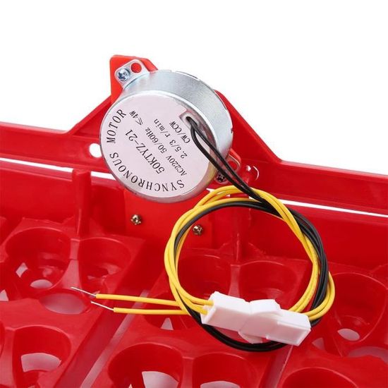 Moteur Tourneur D'œufs 220V Pour Incubateur à Poules - Petit Moteur De 4W, Taille 5x2 Cm