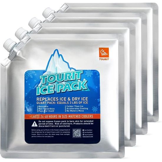Lot De 4 Pain De Glace Pour Sac Isotherme, Pain De Glace