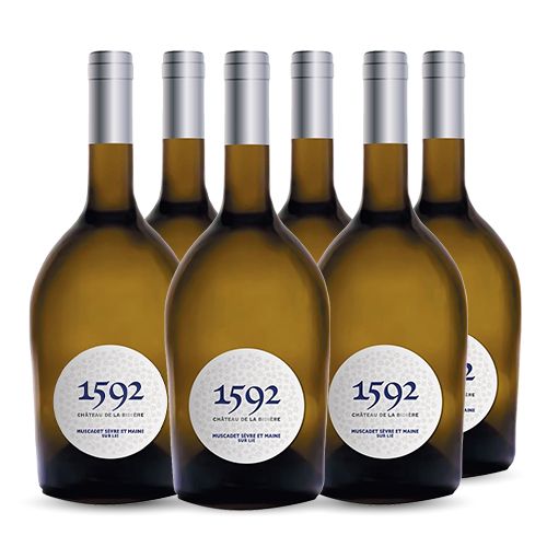 Château de la Bidière - Domaine Terrier 1592 Muscadet Sèvre et Maine Sèvre et maine sur lie Blanc 2020 6x75cl