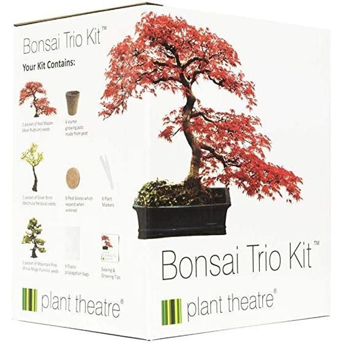 Plant Theatre Bonsai Trio Kit Ensemble de 3 bonsaïs à Faire Pousser