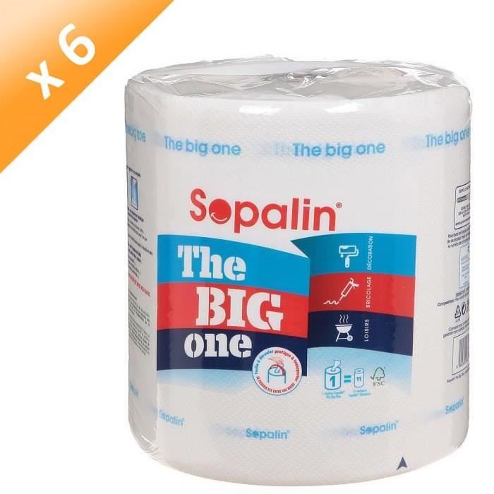 SOPALIN Essuie-tout The big one - Lot de 6