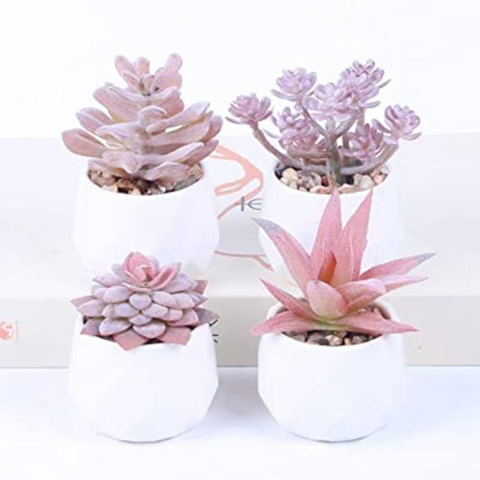 2 Pièces Plantes Grasses Artificielles En Pot Ciment - Fausses Plantes Déco Intérieur Pour Bureau, Salon, Chambre - 7